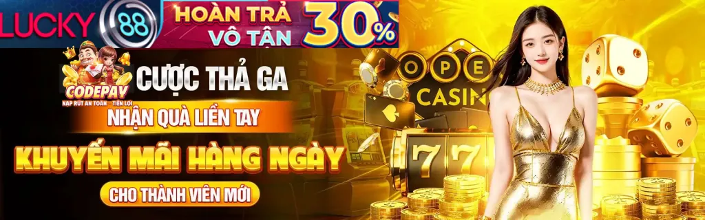 Nền tảng được cấp phép